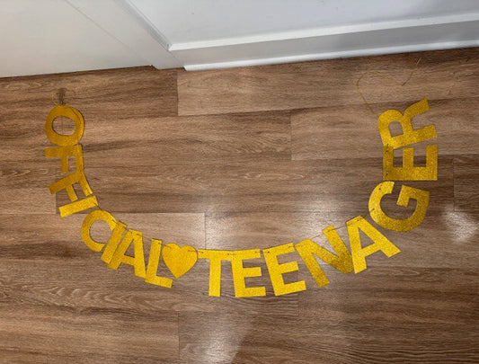 Party Supplies 13th Birthday Decoration 16 Pieces Gold/Silver Glitter Swirls1