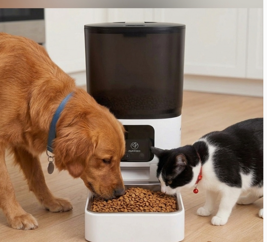 Wi-Fi Automatic Food Dispenser for Dogs and Cats App Control