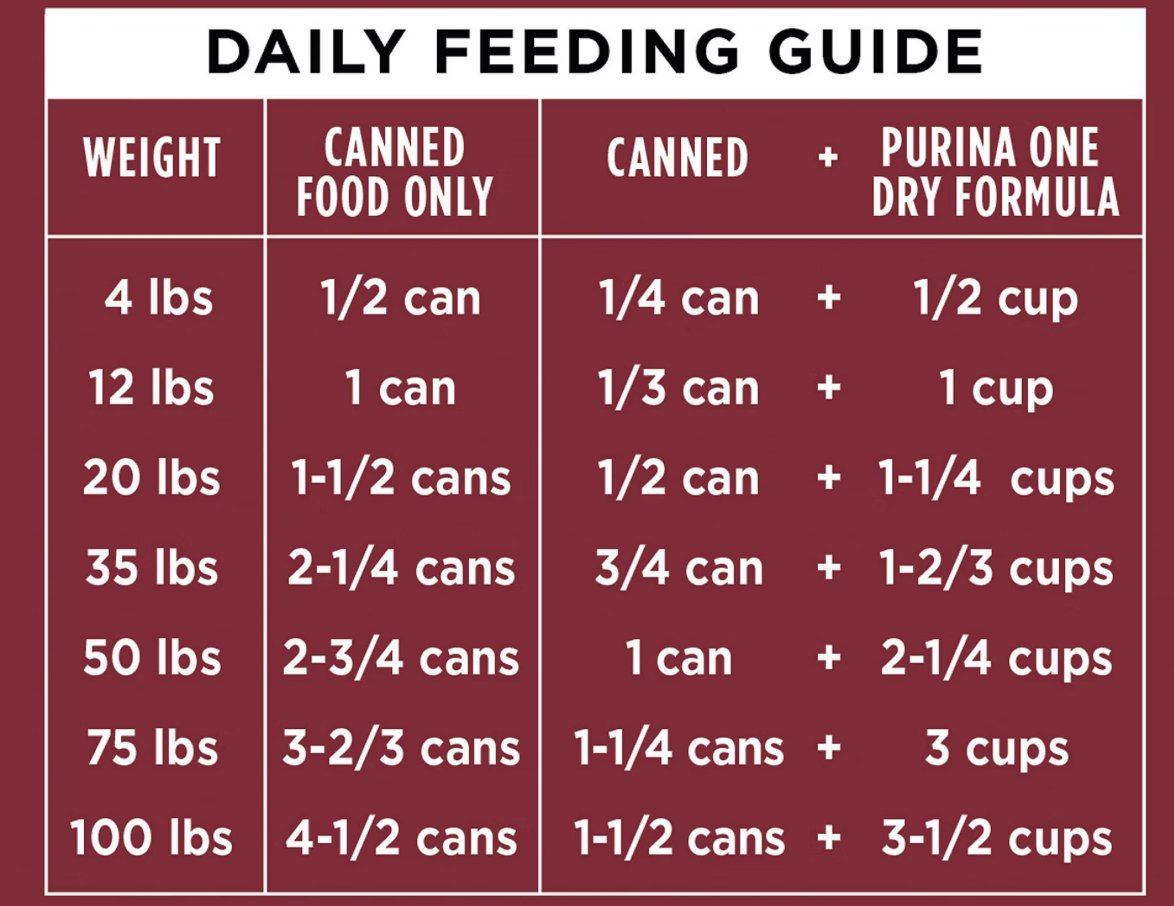 Purina ONE wet dog food daily feeding guide by dog weight