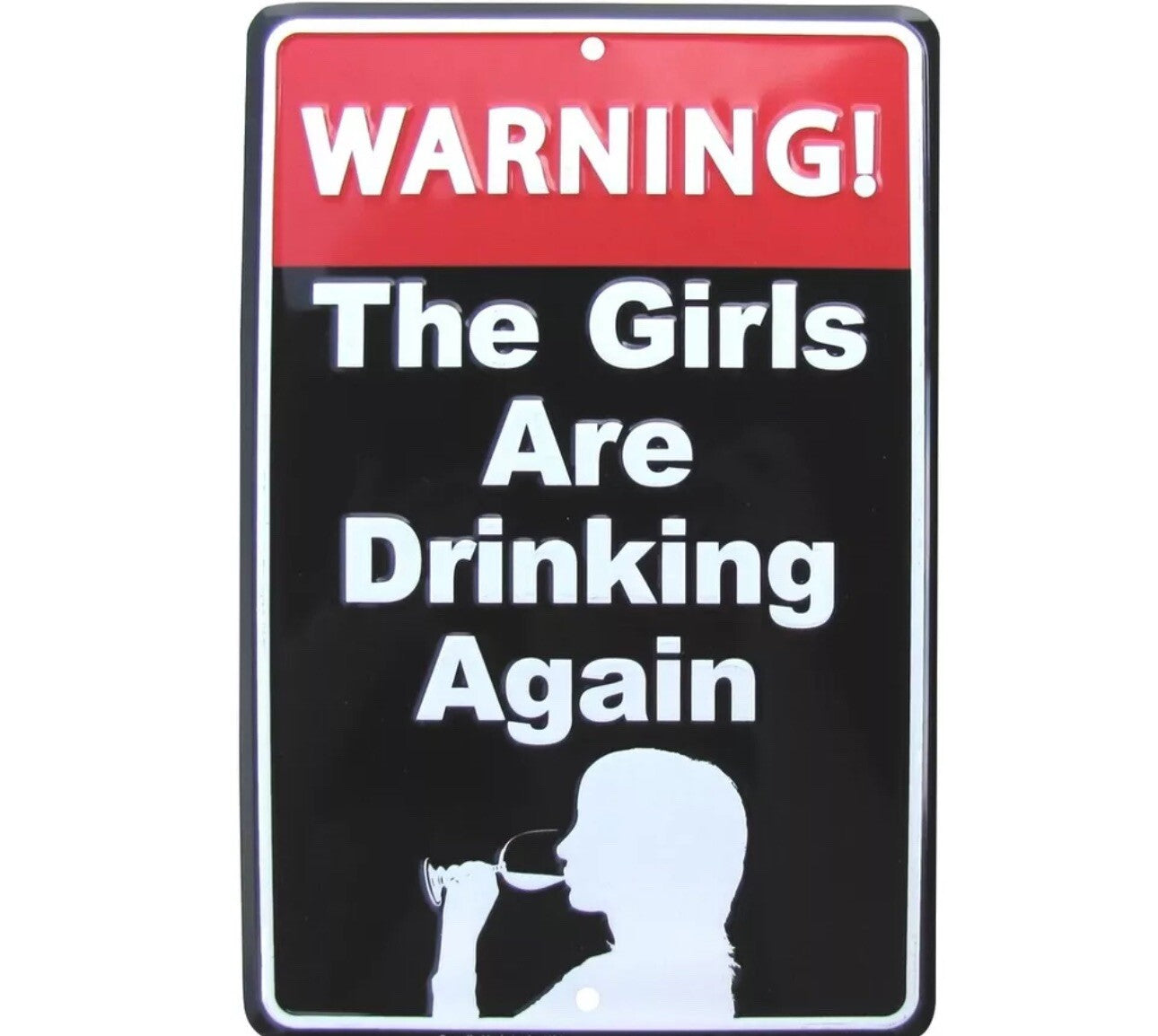 Funny Warning Girls Drinking Metal Sign Novelty Party Bar Pub Wall Decor 8x120