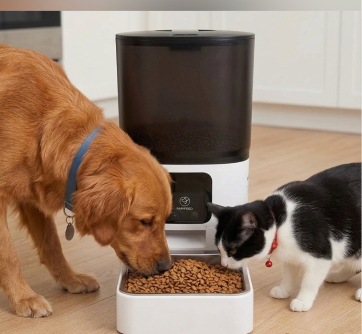 PAPIFEED 6L WiFi Automatic Pet Feeder with Smart App Control & Stainless Steel Bowl - Timed Food Dispenser for Cats & Dogs