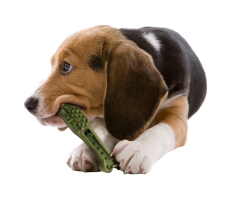 Kirkland Signature Dental Chews for Dogs, Grain & Gluten Free, 72 Count