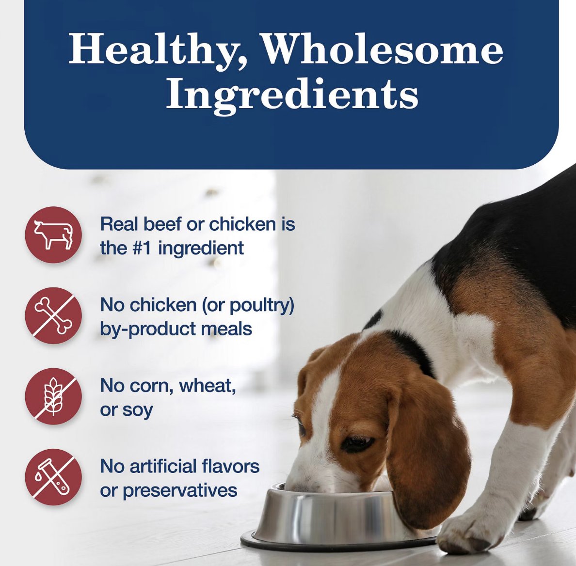 Blue Buffalo wet dog food with real meat first, no corn, wheat, soy or poultry by-product meals