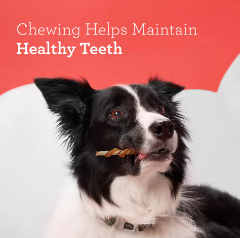 DreamBone Twists wrapped with real chicken dog chews 50 count - view 2